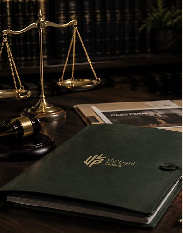 Expediente y elementos de derecho penal de VLP Legal